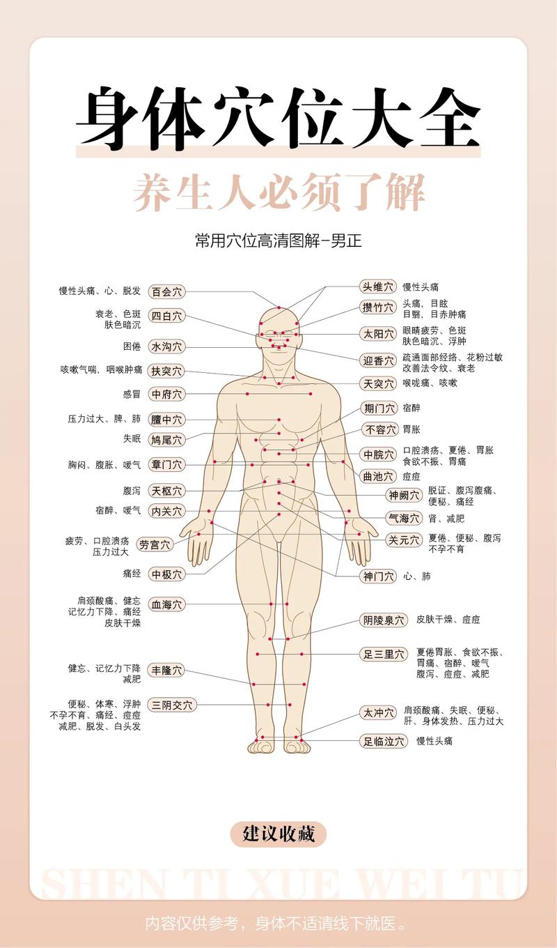 养生经络图_养生经络穴位_养生经络知识术语