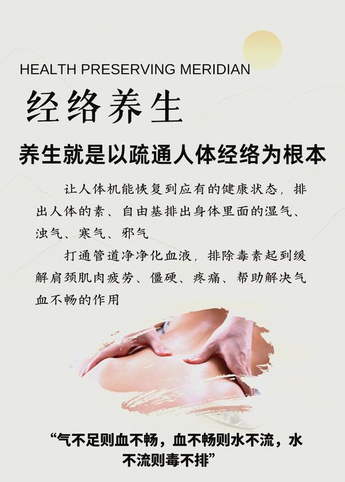 养生经络穴位_养生经络图_养生经络知识术语