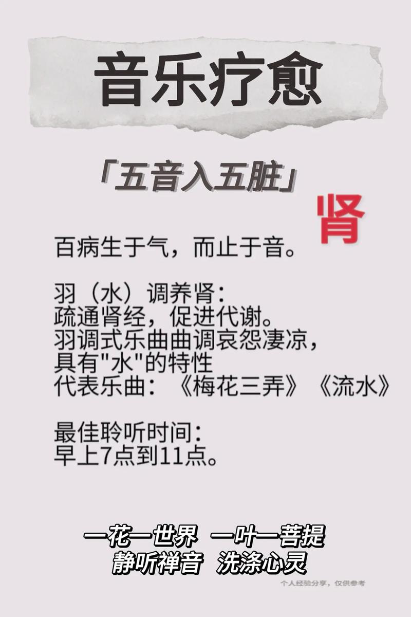 舒缓养生音乐推荐_养生舒缓音乐_养生的轻音乐