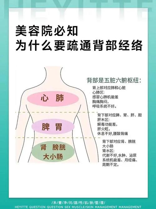 养生按摩的前列腺保养是啥_养生按摩_养生按摩图片宣传图片