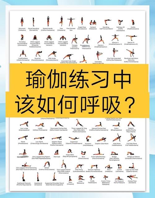 养生瑜伽视频在家练_瑜伽养生_养生瑜伽的基础动作