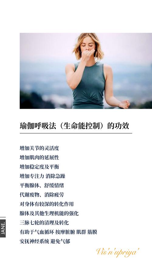 养生瑜伽视频在家练_养生瑜伽的基础动作_瑜伽养生