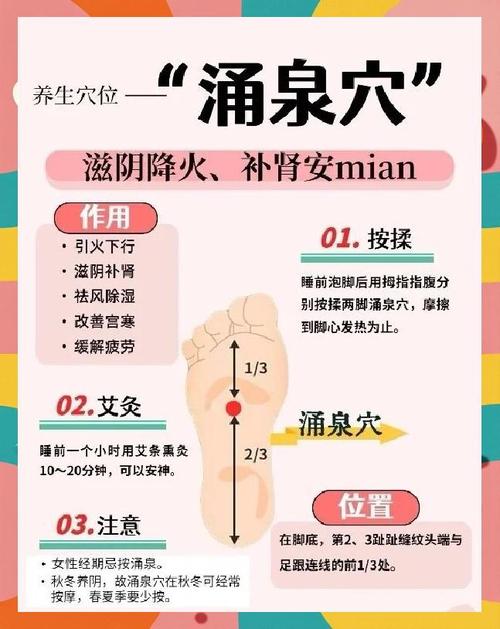 养生经络图_经络养生100招_养生经络穴位