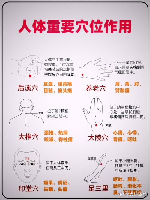 养生经络穴位_经络养生100招_养生经络图