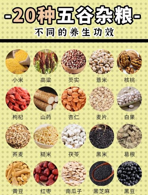 食疗养生_养生食疗配方大全_养生食疗课程