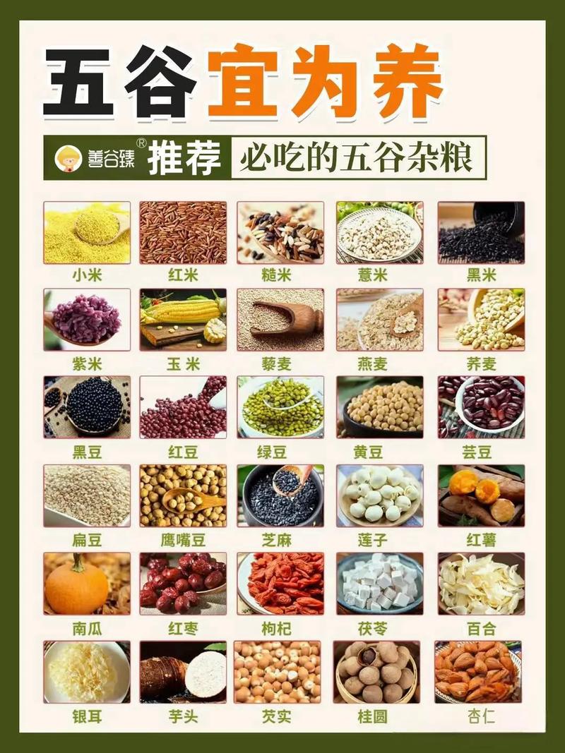 养生食疗配方大全_食疗养生_养生食疗课程